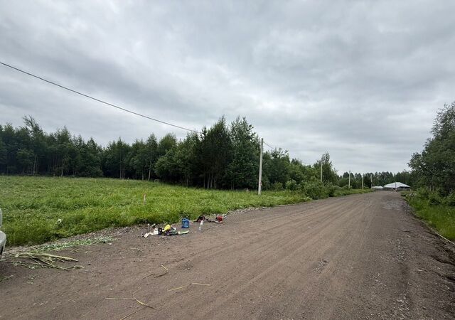 ул Большая Кольцевая фото