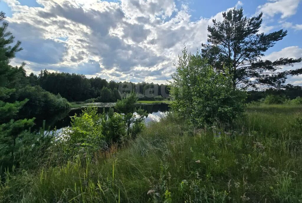 земля г Карабаш п Сактаево Карабашский городской округ фото 2