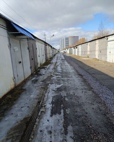 метро Парнас пр-кт Суздальский 6а фото