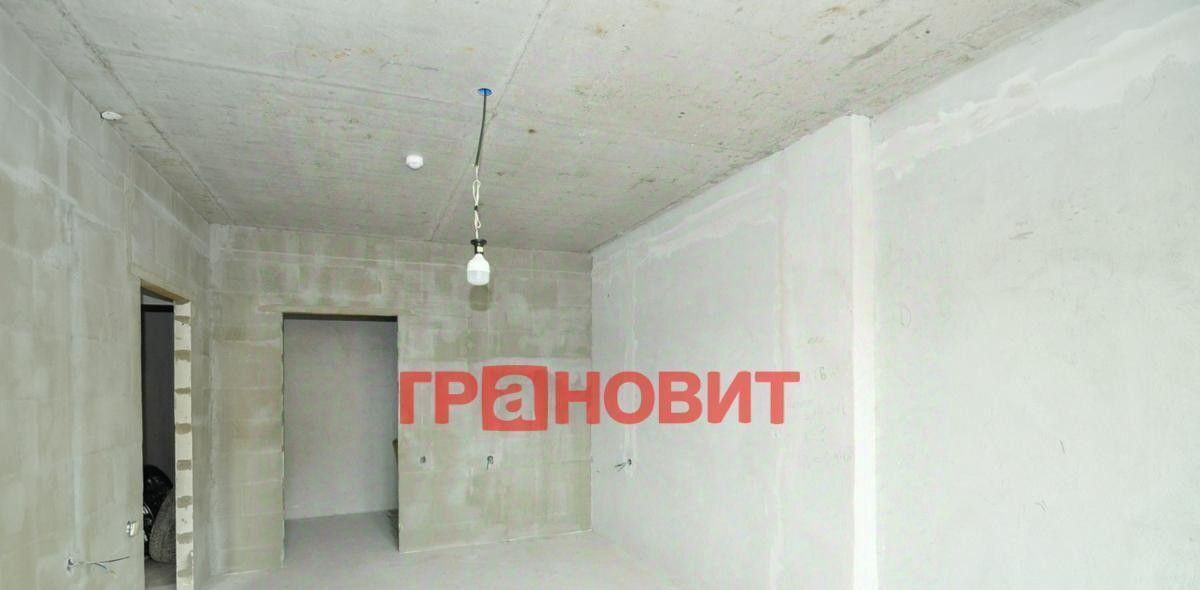 квартира г Новосибирск ул Виктора Уса 1/1 Площадь Маркса фото 15