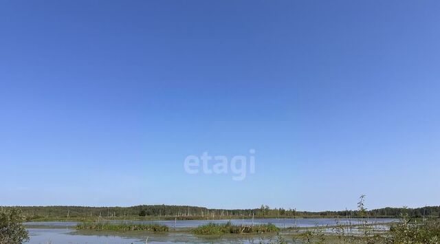снт Электрощит фото