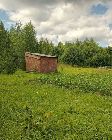 снт Юг Звездный фото
