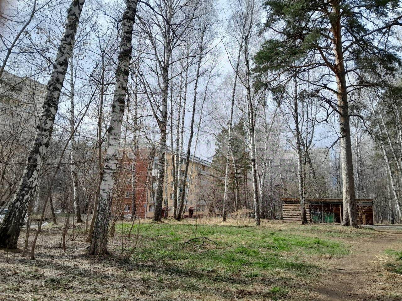 квартира г Новосибирск р-н Советский ул Ильича 15 фото 13