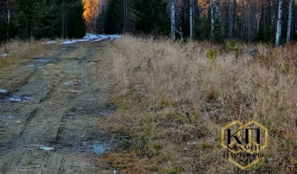 земля г Полевской д Кенчурка ул Лесная 2г фото 2