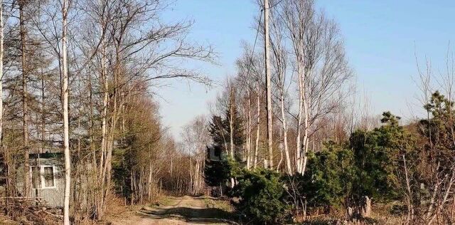 снт тер.Златоглазка ул Благодатная фото