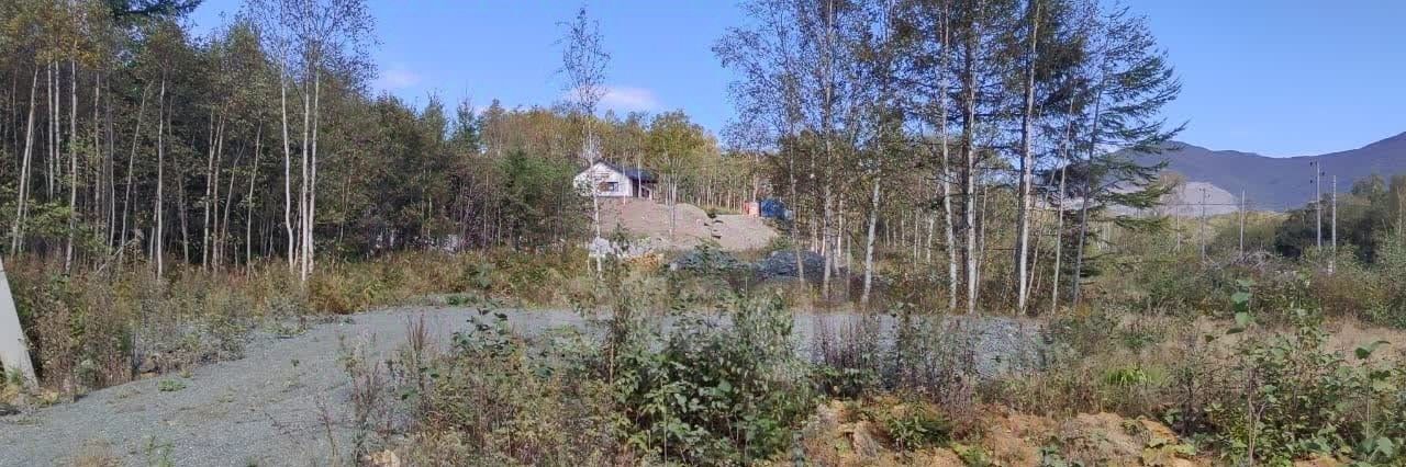 земля г Южно-Сахалинск снт Молдаванка ул. Николаевская, 4 фото 4