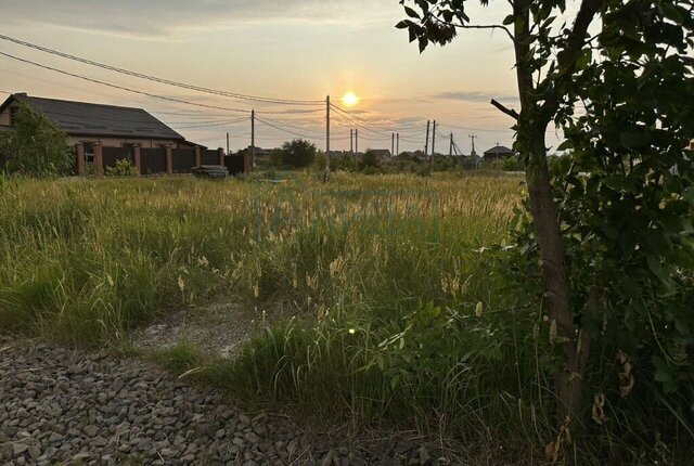 ул Роберта Рождественского фото