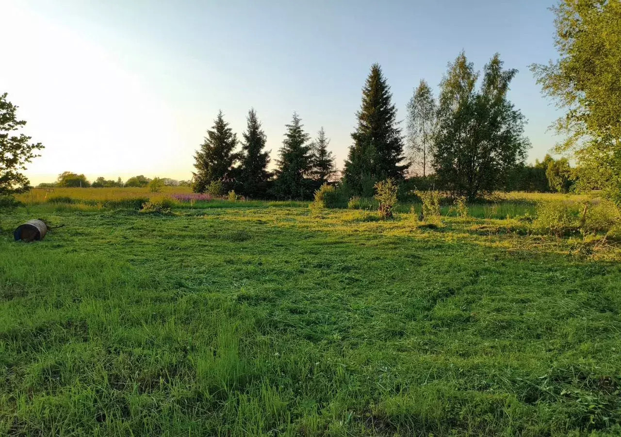 земля городской округ Клин г Высоковск 69 км, д. Языково, г. о. Клин, Ленинградское шоссе фото 1