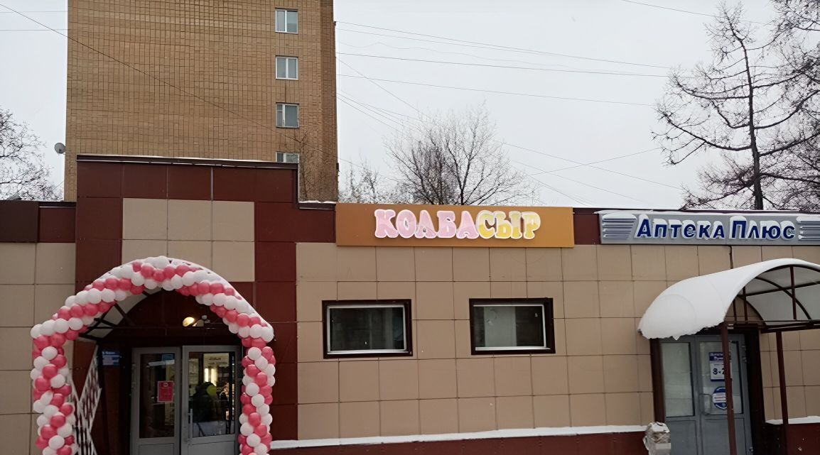 торговое помещение г Раменское Центральный район ул Михалевича 56 фото 2