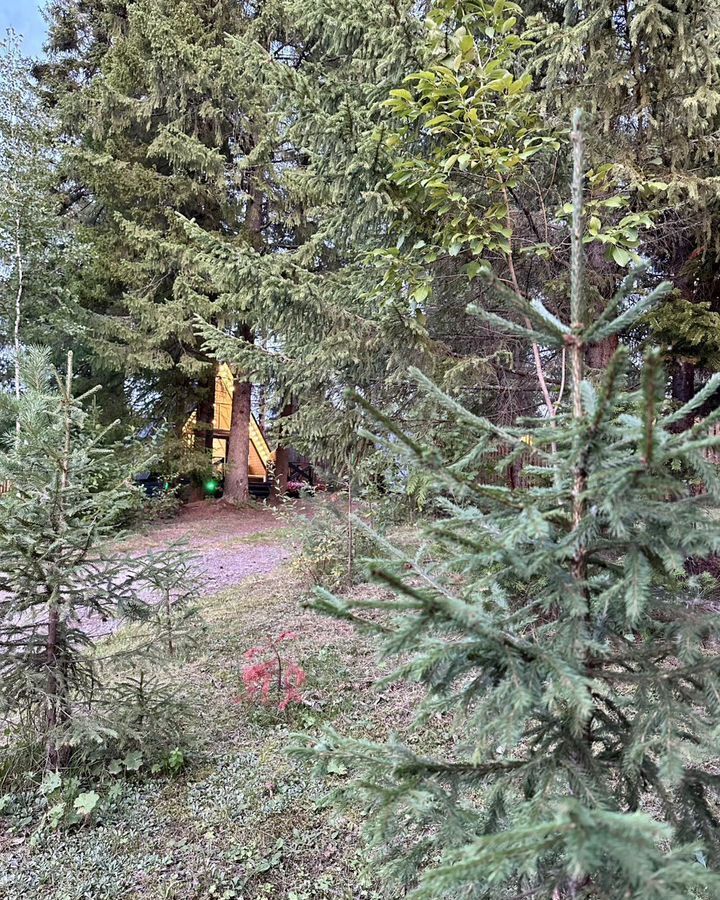 дом г Нижний Тагил пос. Уралец, Пихтовый пр, Черноисточинск фото 19