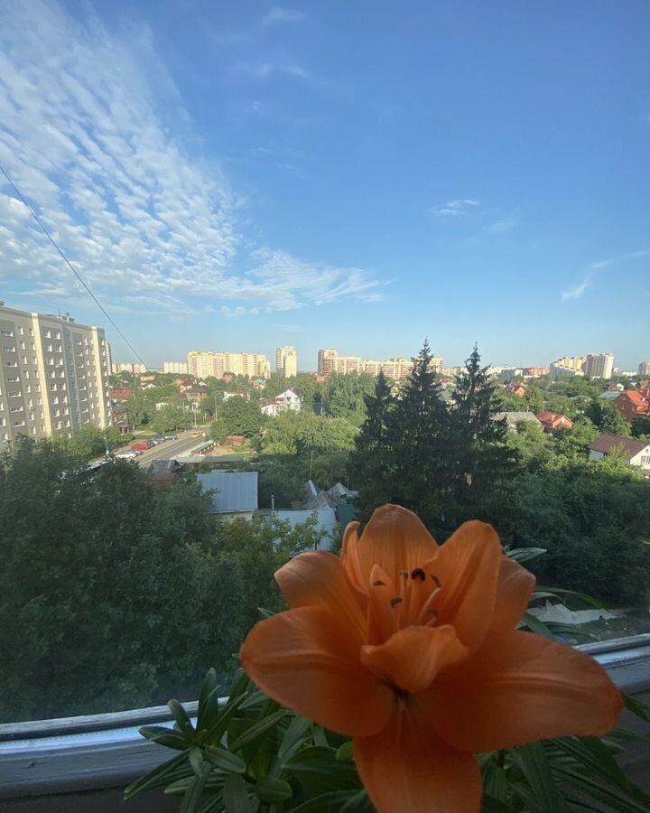 квартира г Домодедово мкр Центральный проезд Кутузовский 20к/1 фото 26