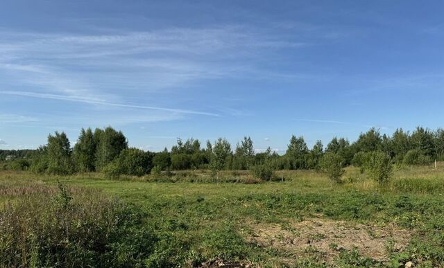 земля р-н Фрунзенский ул Дальняя Балинская 121 фото