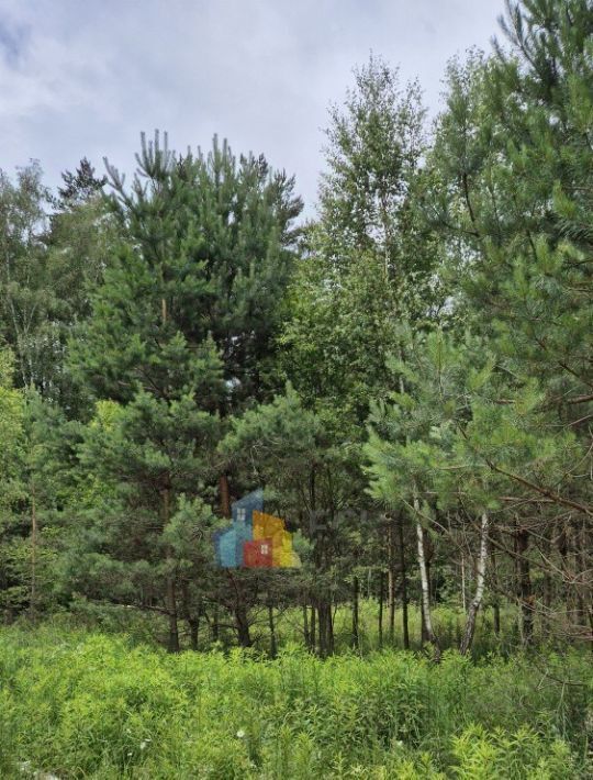 земля р-н Алексинский г Алексин снт Ока Лесная ДНП, с. Бунырево фото 2