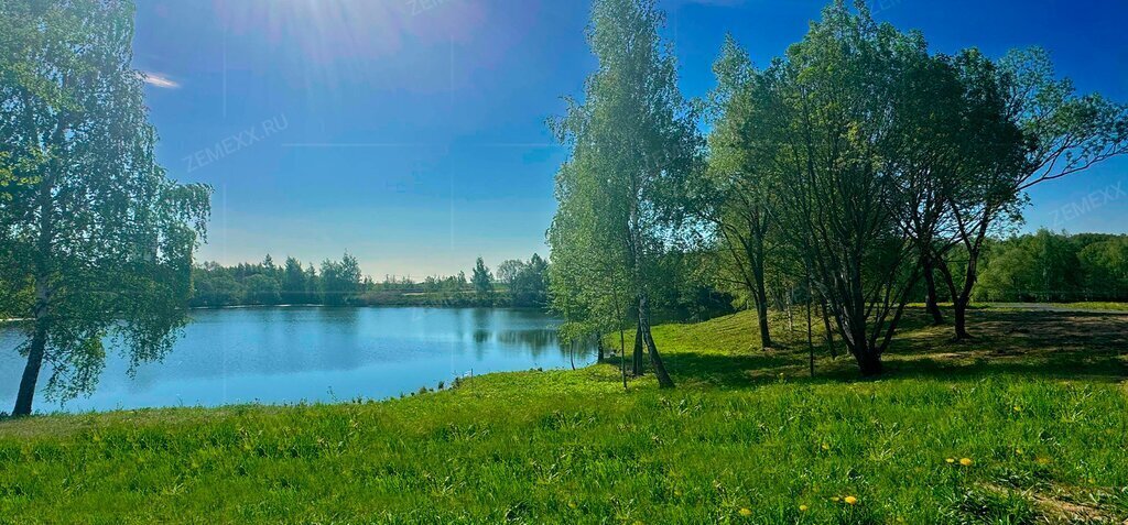 земля г Домодедово КП Лазурный, Ростовская область фото 4