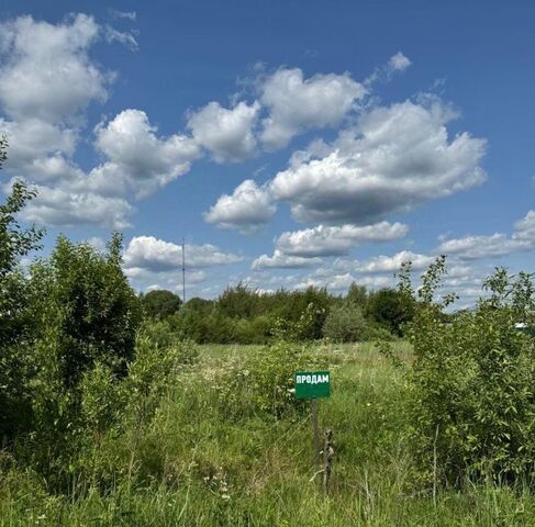 Белоозерский тер., 31 фото