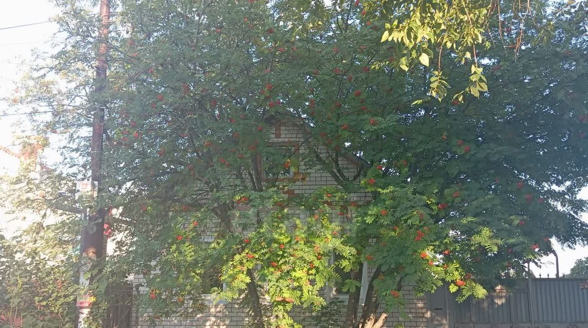 дом г Энгельс ул Республики 131а городское поселение Энгельс фото 2