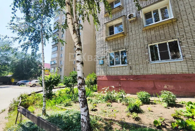 ул Звездная 16/2 фото