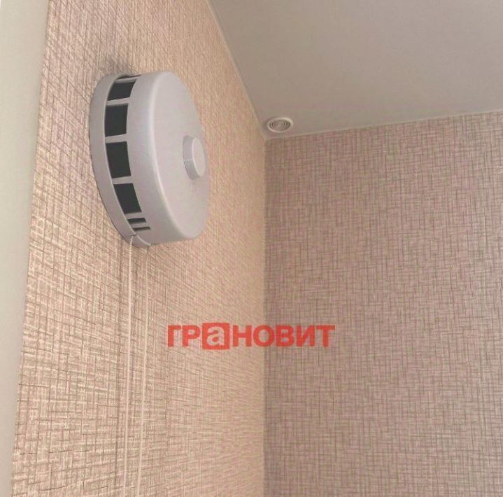 квартира г Новосибирск р-н Кировский ул Бородина 56 ЖК «Новые Матрёшки» Площадь Маркса фото 4