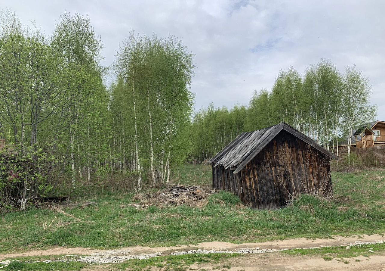 земля р-н Городецкий г Городец д. Савино Ковригинский сельсовет фото 7