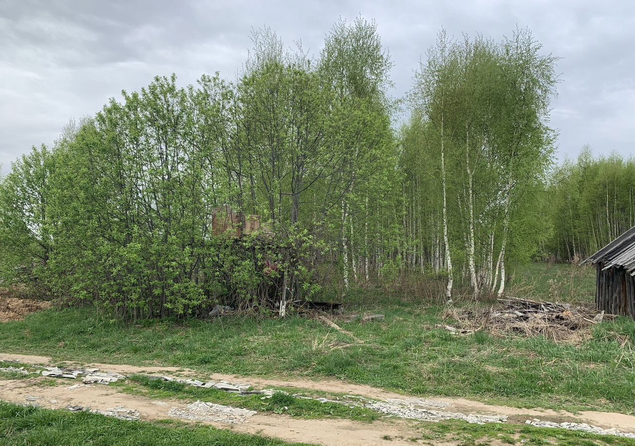 земля р-н Городецкий г Городец д. Савино Ковригинский сельсовет фото 8
