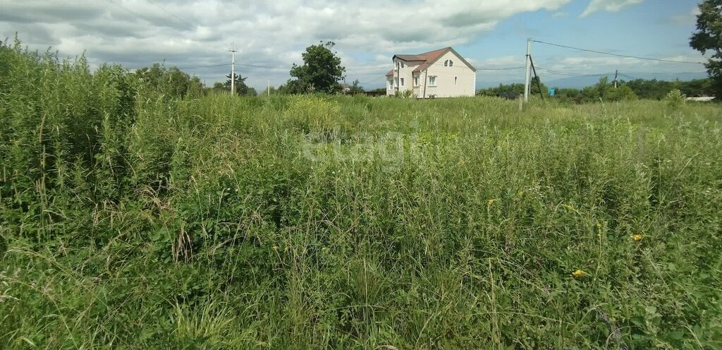 земля г Арсеньев ул Чапаева фото 1
