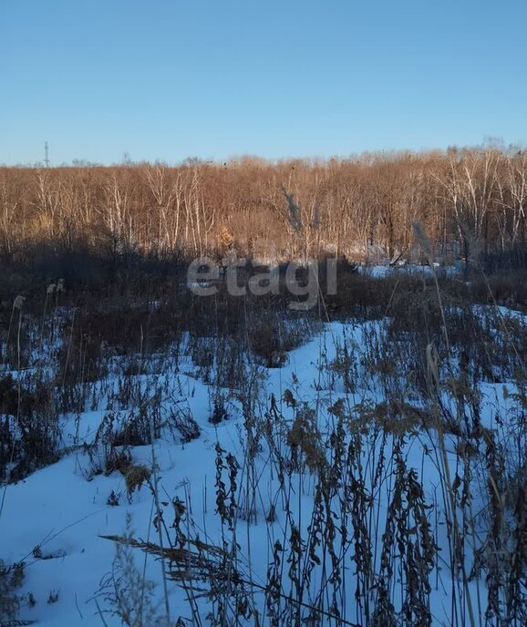 земля г Уссурийск тер садоводческое товарищество Луч Арсеньев фото 1