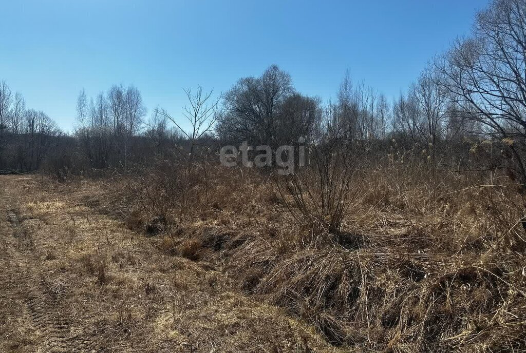 земля г Арсеньев ул Сосновая фото 2