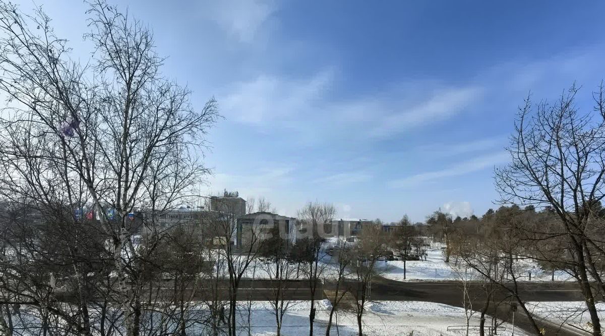 квартира г Арсеньев ул Жуковского 23 фото 20
