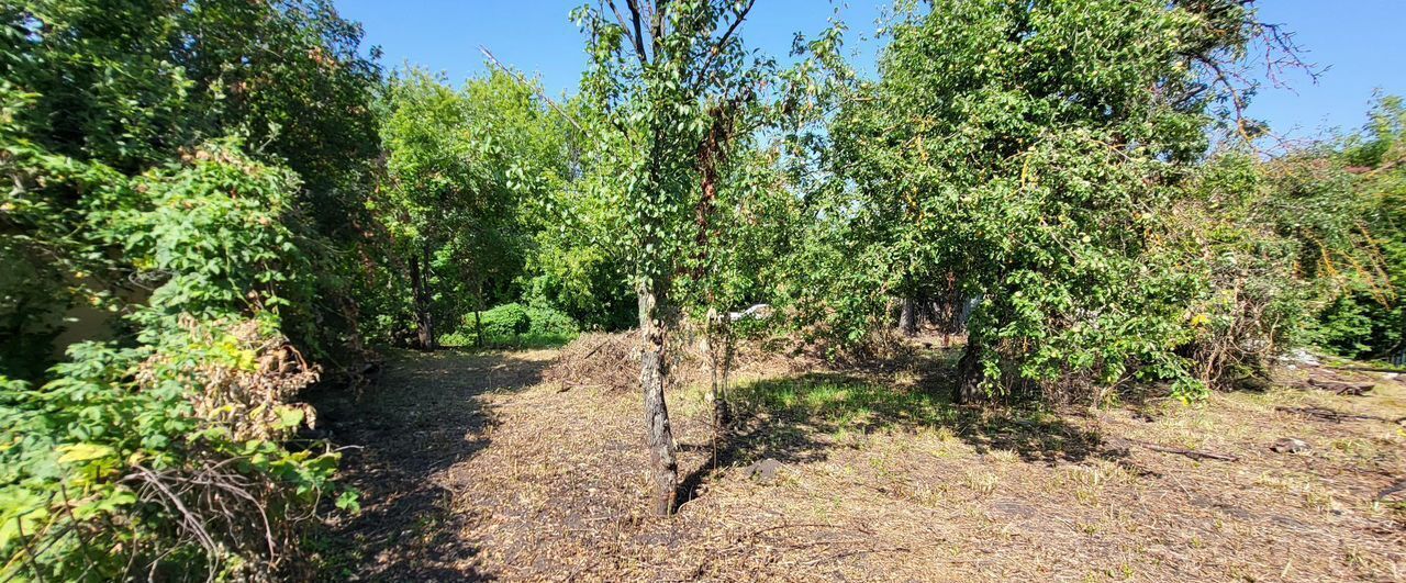 земля г Липецк р-н Правобережный снт терМеталлург-1 161 квартал, 3-й фото 4