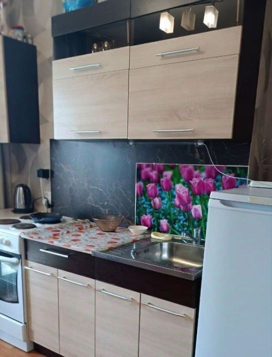 квартира г Нижний Новгород Парк культуры ул Юлиуса Фучика 10к/2 фото 2