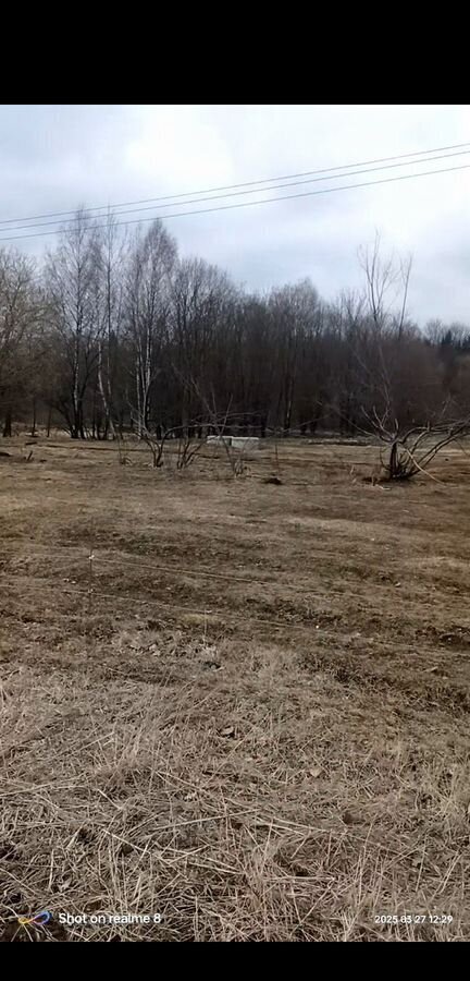 земля р-н Кольчугинский г Кольчугино муниципальное образование Кольчугино, Школьная ул фото 4