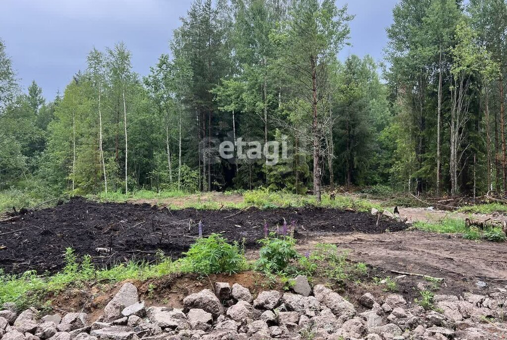 земля р-н Всеволожский г Всеволожск ул Камышовая фото 3