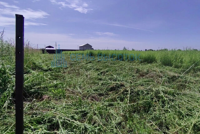 территория Дубровка СХ 2 фото