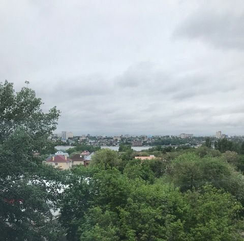 квартира г Воронеж р-н Железнодорожный ул Гаршина 6 фото 2