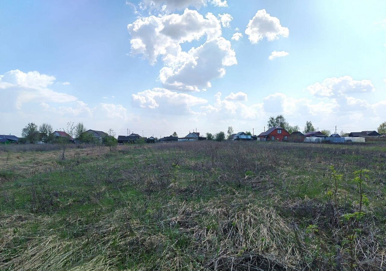 земля г Саранск д Полянки ул Юбилейная 74 ст Ялга фото 2