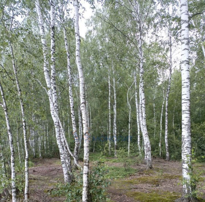 дом г Бор Железнодорожный с/пос, ул. Озерная, 25 фото 21