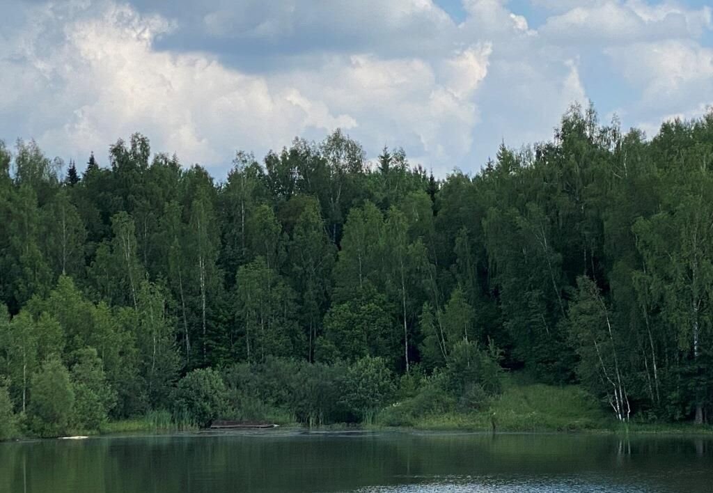 земля городской округ Сергиево-Посадский г Хотьково 50 км, ТСН Новинки, Ярославское шоссе фото 22