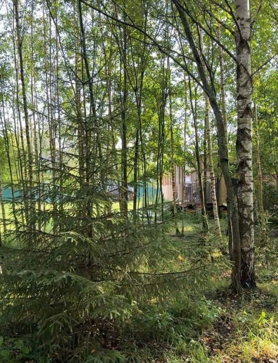земля г Истра Землевладельцев Чаново-2 некоммерческое партнерство, 18 фото 10