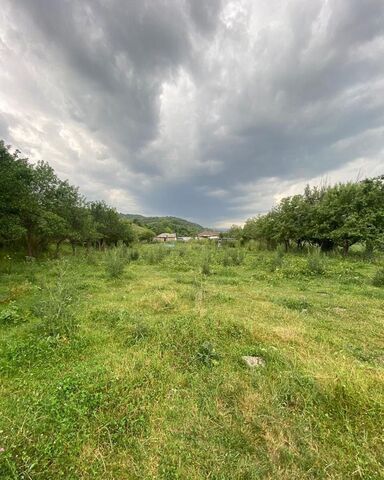 Кардоникская фото