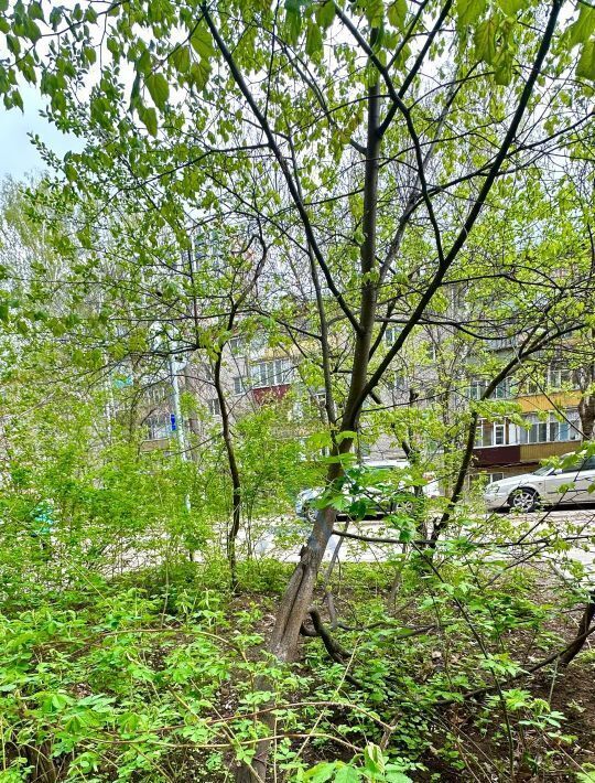 квартира г Казань Суконная слобода ул Новаторов 4 фото 11