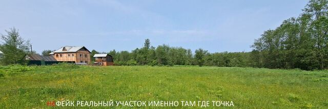 с Ивановское Нахабино, 81 фото