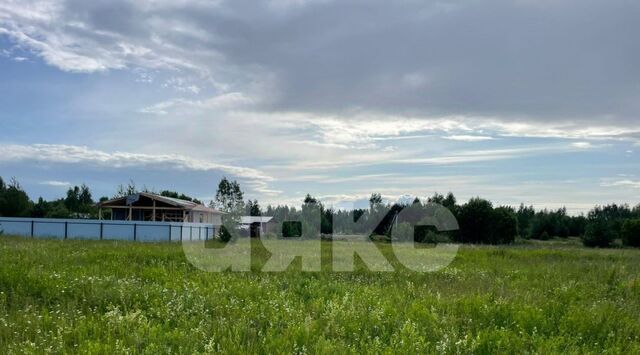 ул Зимняя 1 Раменский муниципальный округ фото