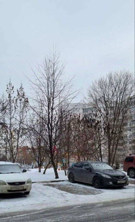 квартира г Белгород Западный ул Щорса 53 фото 4