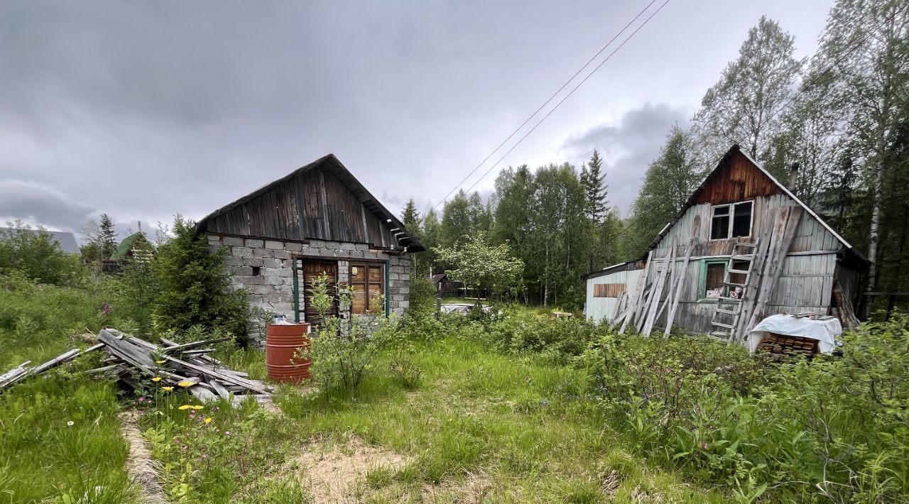 земля г Кировск снт Полярная звезда фото 12