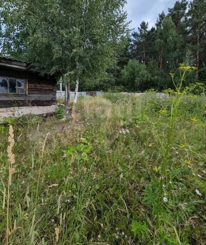 ул Лесная СНТ Журавли фото