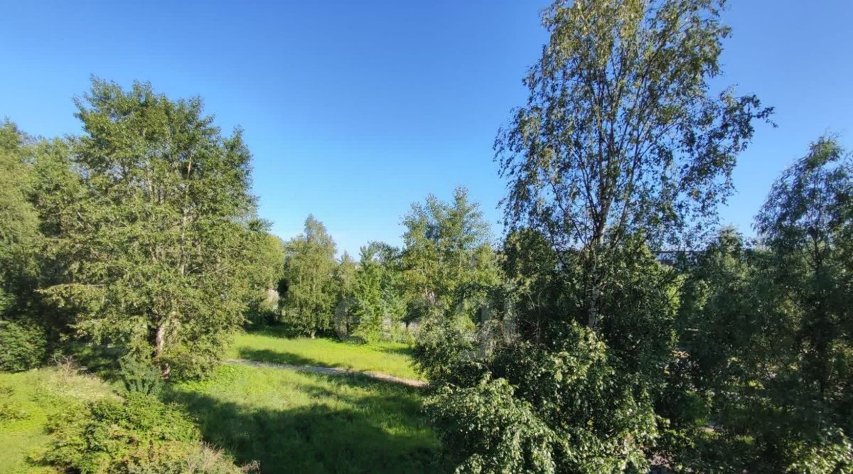 квартира г Новодвинск ул Димитрова 2 фото 7
