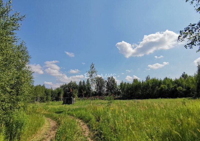 ул Радужная Богородск фото