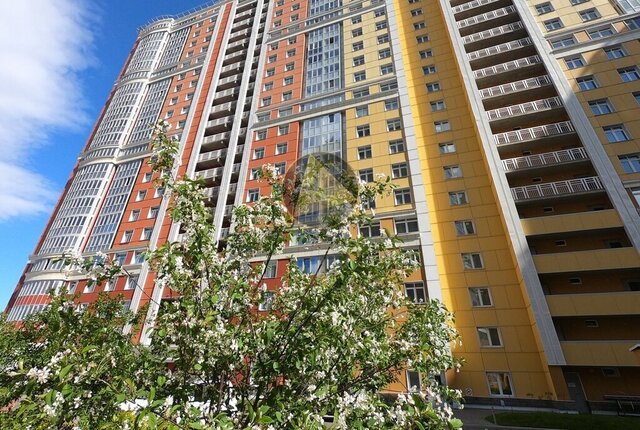метро Проспект Просвещения ул Руднева 16 фото
