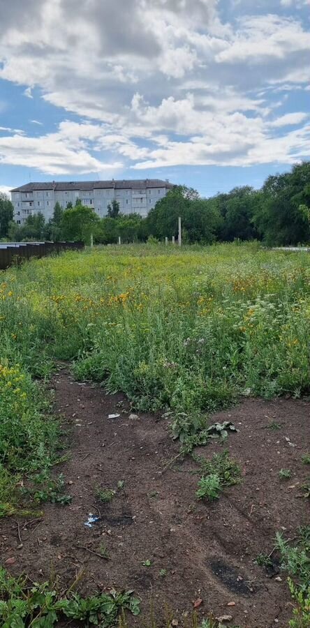 земля г Бородино ул Рождественская фото 3