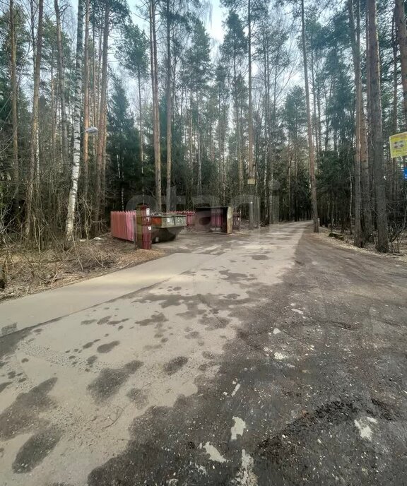 земля городской округ Богородский г Ногинск снт Краб Ольгино фото 4